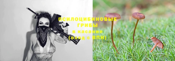 первитин Снежинск