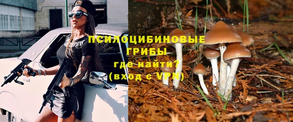 дживик Сосновоборск